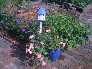 Blue birdhouse and pot
